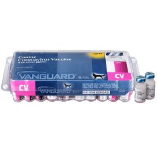 코로나 백신 뱅가드 CV