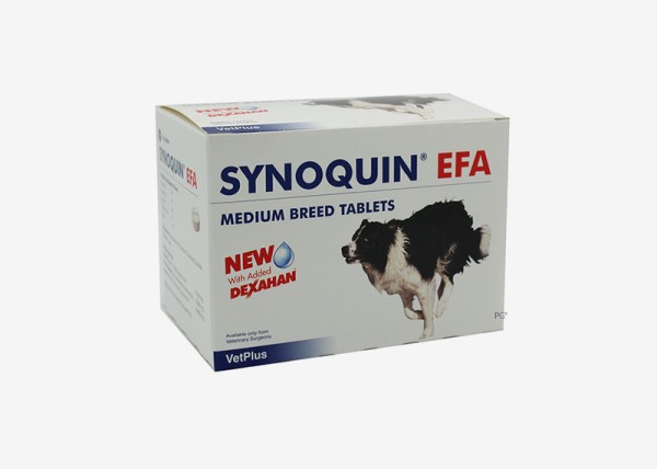 사이노퀸 타블렛 중형견용(관절)