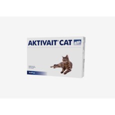 액티베이트 캣 (노화/치매예방, 항산화)
