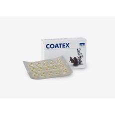 코텍스 블리스터 (피부모질)