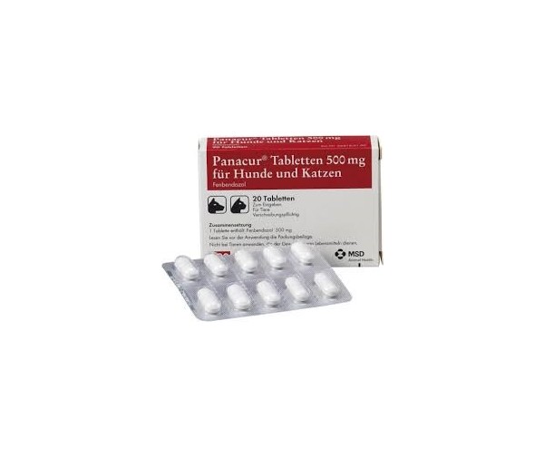 파나쿠어 정 500mg