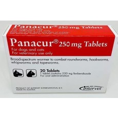 파나쿠어 정 250mg