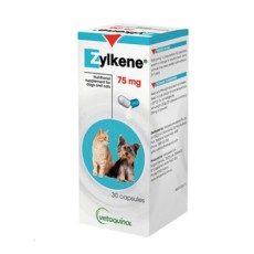 질켄 스트레스완화 보조제