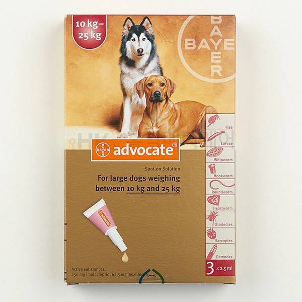 애드보킷 강아지용 중형 (10~25kg) 6EA (신포장)