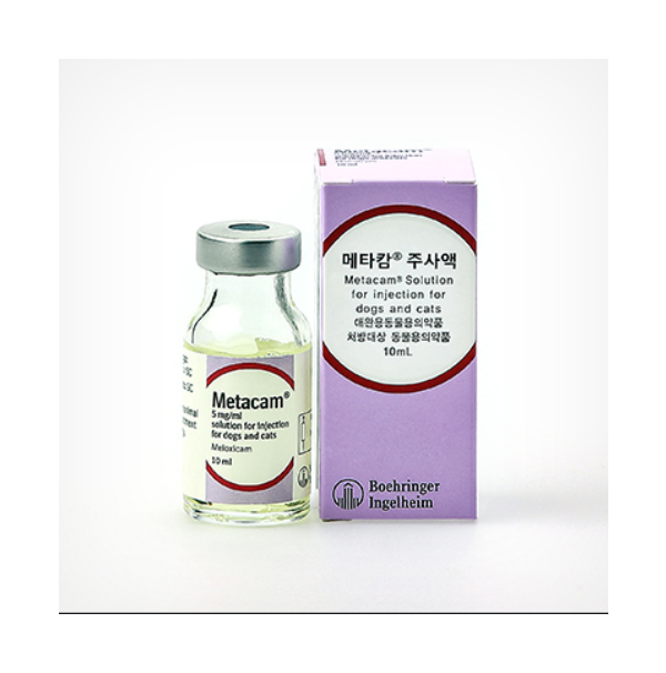 메타캄 고양이용