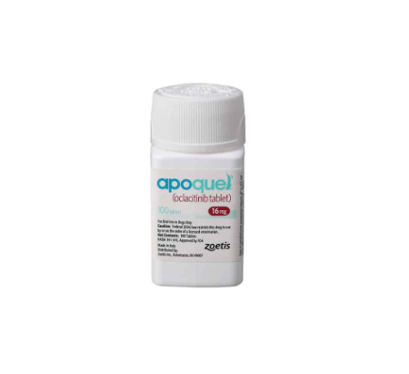 아포퀠 16 (25.03.01 인상)