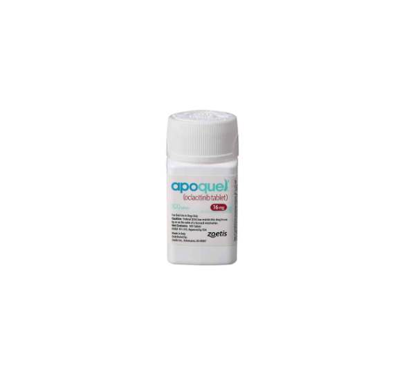 아포퀠 16 (25.03.01 인상)